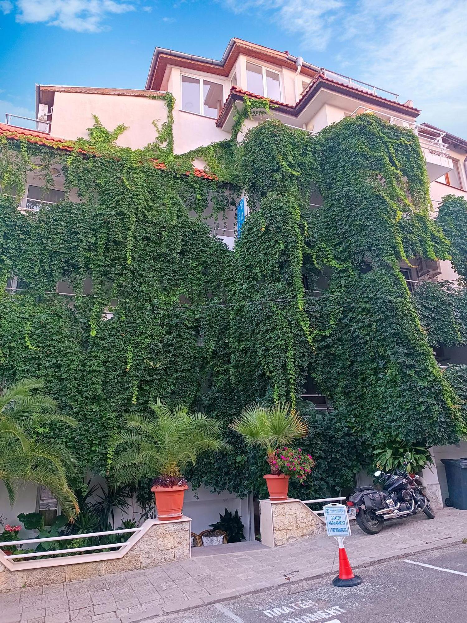Family Hotel Sofi Σωζόπολη Εξωτερικό φωτογραφία